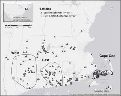 Location and Species Matters: Variable Influence of the Environment on the Gene Flow of Imperiled, Native and Invasive Cottontails